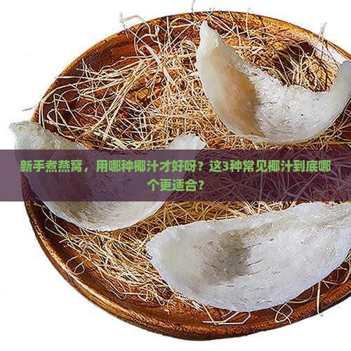 煮燕窝用什么椰汁好呢