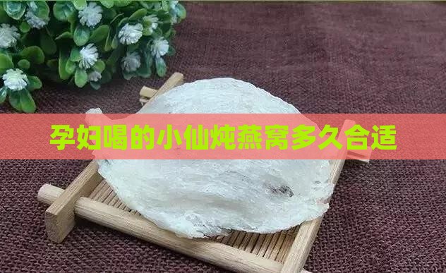 孕妇喝的燕窝小仙炖多久