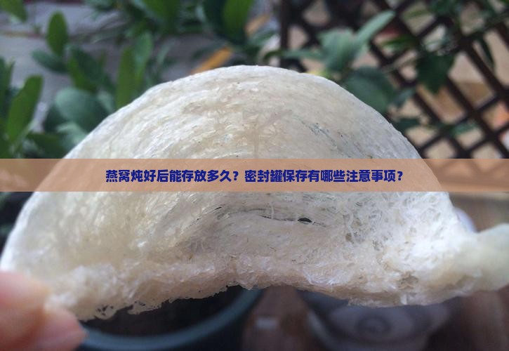 燕窝炖好存放密封罐多久