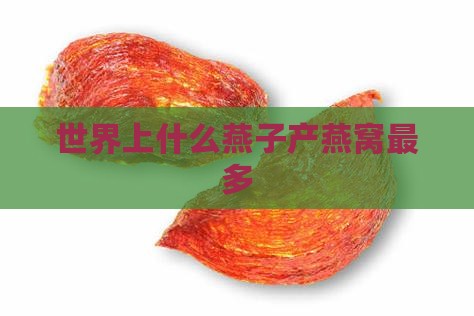 世界上什么燕子产燕窝