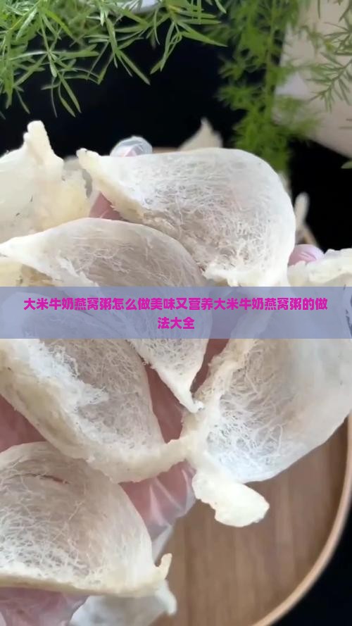 大米牛奶燕窝粥怎么做