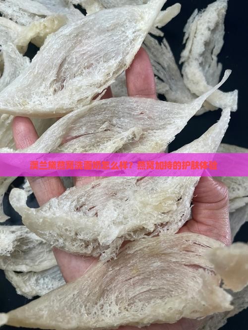 澳兰黛燕窝洁面怎么样