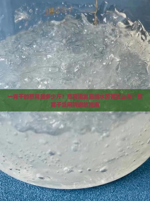 一克干的燕窝是多少斤
