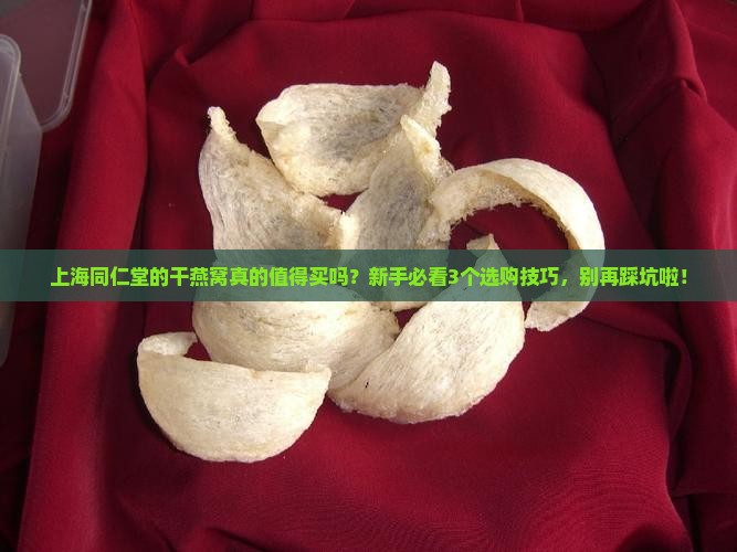上海同仁堂干燕窝怎么样