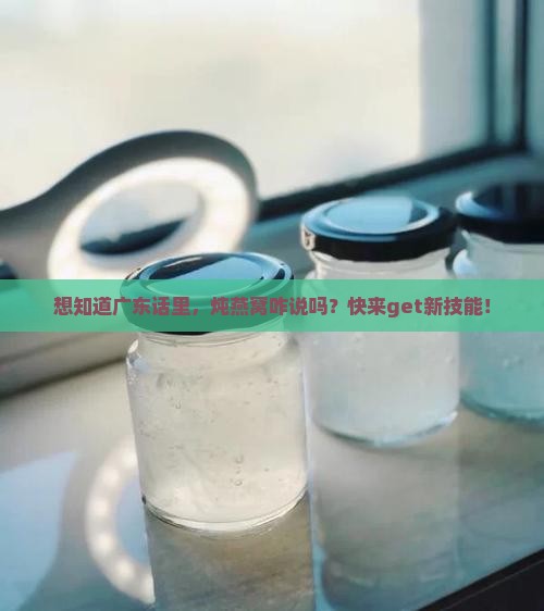炖燕窝广东话怎么讲的