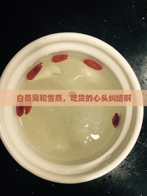 白燕窝和雪燕哪个好些