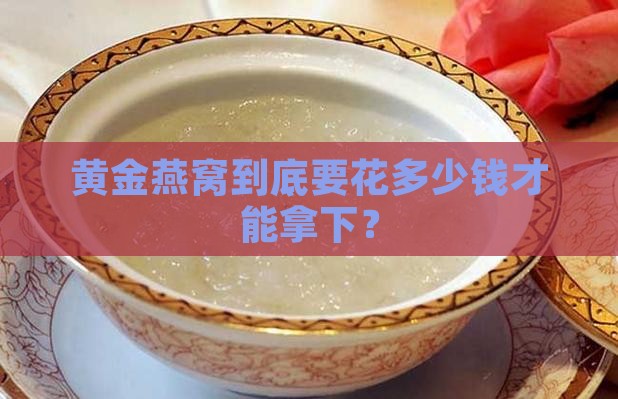 黄金燕窝什么价格能买到
