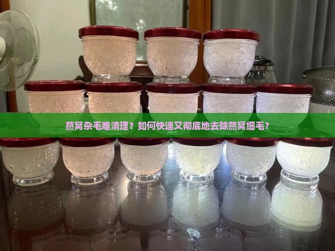 怎么快速洗出燕窝杂毛呢