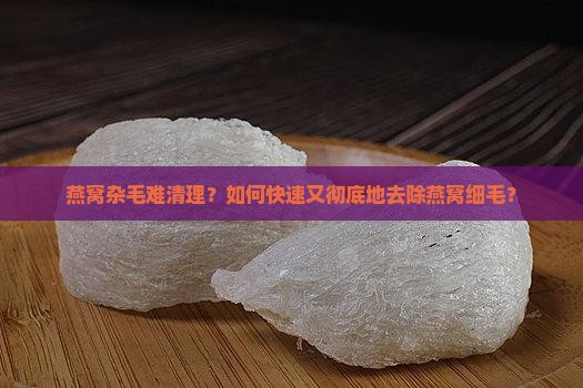 怎么快速洗出燕窝杂毛呢