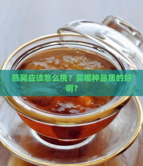 燕窝要买什么品质的好呢