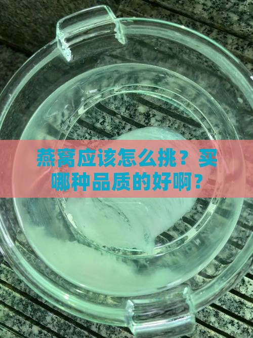 燕窝要买什么品质的好呢