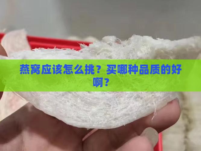 燕窝要买什么品质的好呢