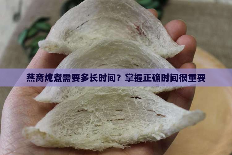 煮水壶炖燕窝多久合适呢