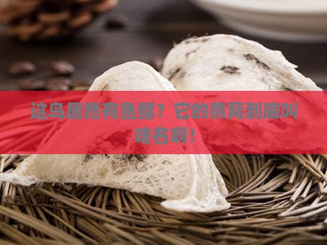 带有鱼鳔的燕窝叫什么鸟
