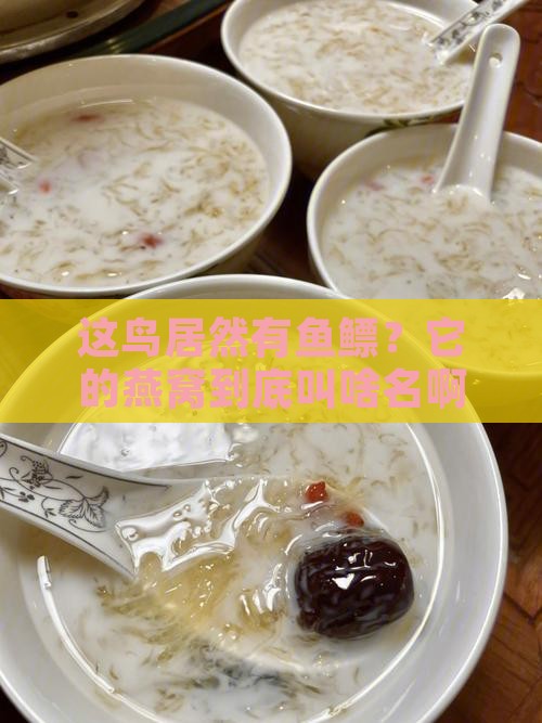 带有鱼鳔的燕窝叫什么鸟