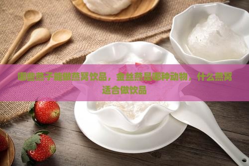 哪些燕子能做燕窝饮品