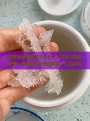 燕窝炖煮后看不出什么了