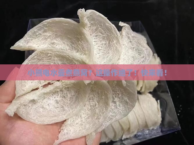 小熊电水壶煮燕窝怎么煮