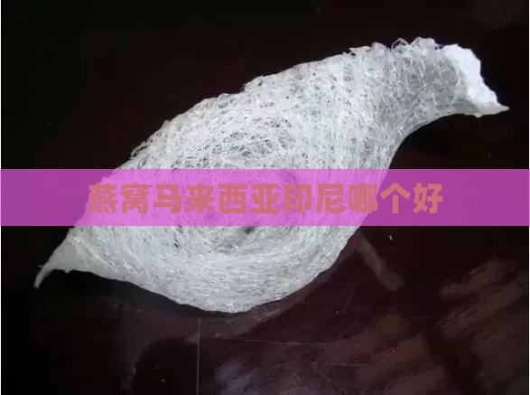 燕窝马来西亚印尼哪个好