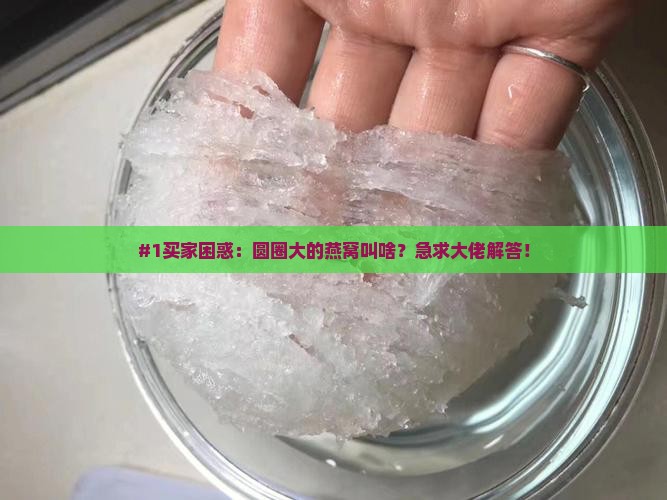 圆圈大的燕窝叫什么名字