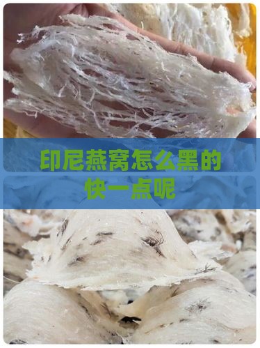 印尼燕窝怎么黑的快一点
