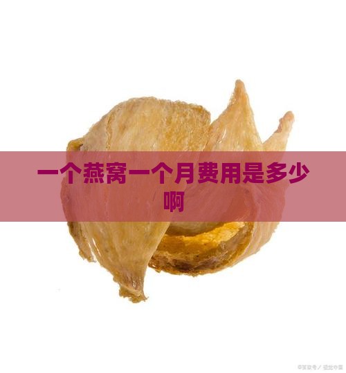 一个月燕窝费用是多少啊