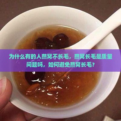 为什么有的人燕窝不长毛