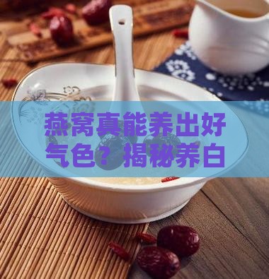 燕窝可以养白吗怎么养