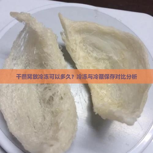 干燕窝放冷冻可以多久