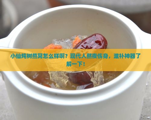 小仙炖树燕窝怎么样啊