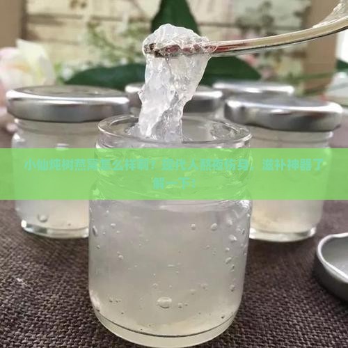 小仙炖树燕窝怎么样啊