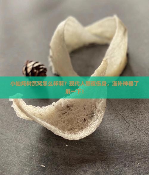 小仙炖树燕窝怎么样啊