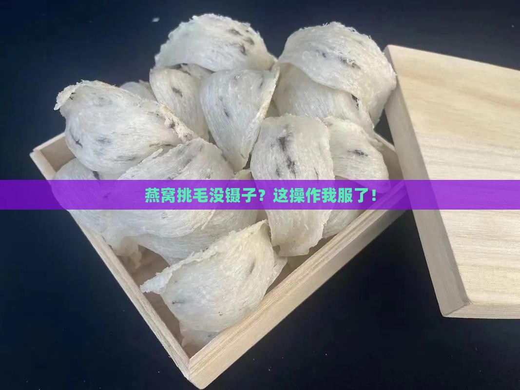 燕窝没镊子怎么挑毛的呢