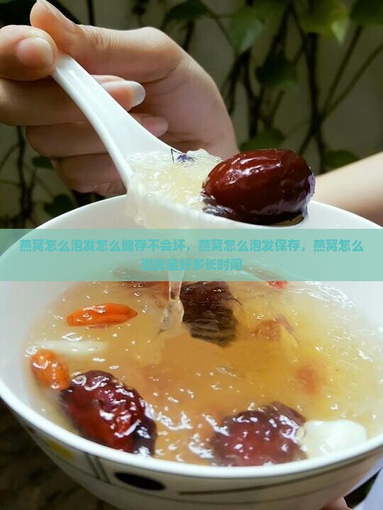 燕窝怎么泡发怎么储存
