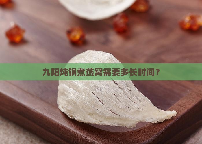 九阳燕窝锅煮多久才熟啊