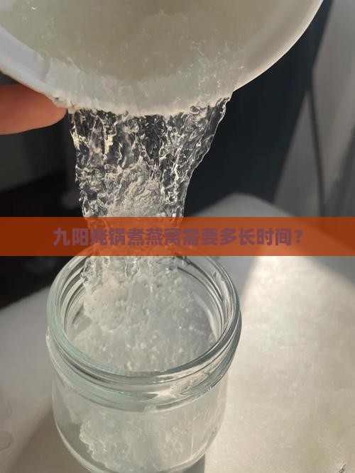 九阳燕窝锅煮多久才熟啊