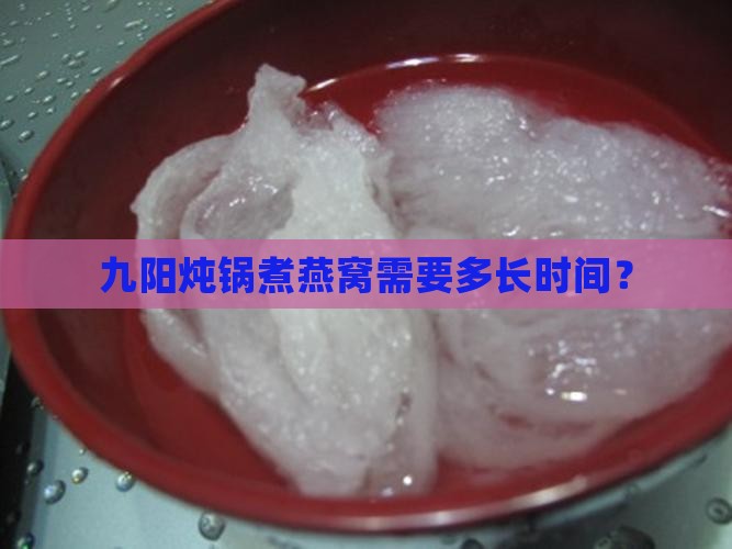 九阳燕窝锅煮多久才熟啊