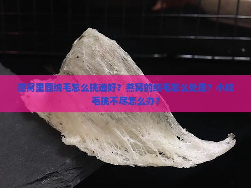 燕窝里面绒毛怎么挑选