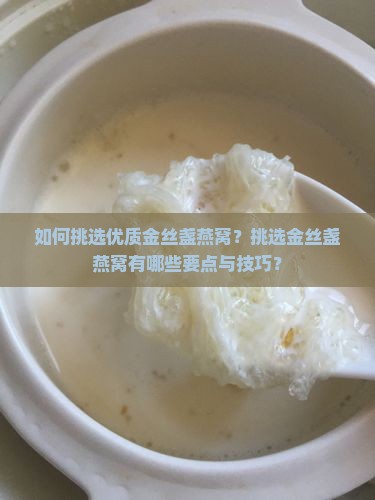 如何挑选优质金丝盏燕窝？挑选金丝盏燕窝有哪些要点与技巧？