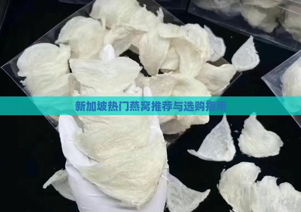 新加坡热门燕窝推荐与选购指南