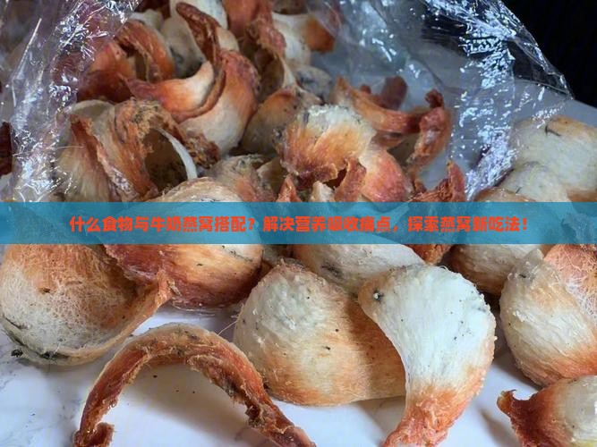 什么食物与牛奶燕窝搭配？解决营养吸收痛点，探索燕窝新吃法！