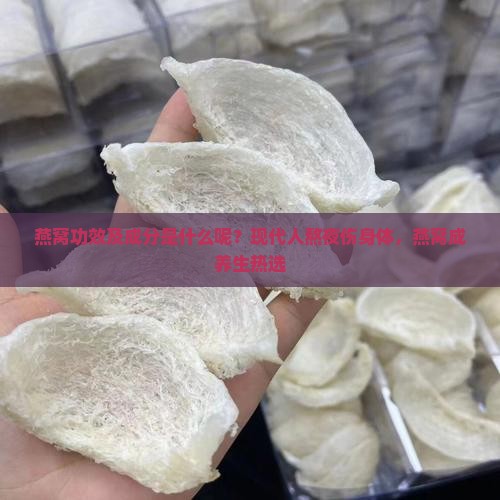 燕窝功效及成分是什么呢？现代人熬夜伤身体，燕窝成养生热选