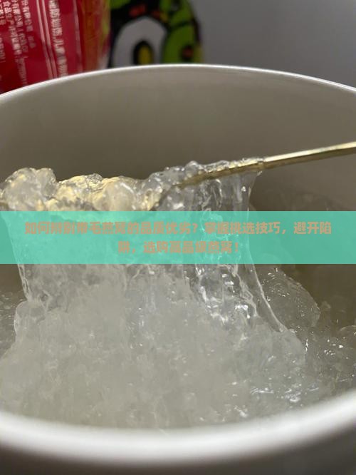 如何辨别带毛燕窝的品质优劣？掌握挑选技巧，避开陷阱，选购高品级燕窝！