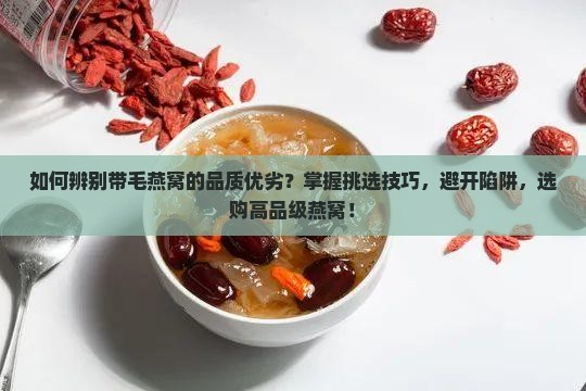 如何辨别带毛燕窝的品质优劣？掌握挑选技巧，避开陷阱，选购高品级燕窝！