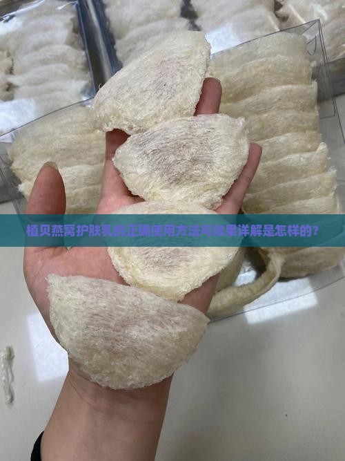 植贝燕窝护肤乳的正确使用方法与效果详解是怎样的？