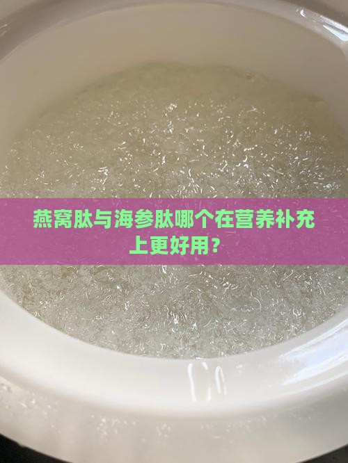 燕窝肽与海参肽哪个在营养补充上更好用？
