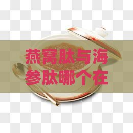 燕窝肽与海参肽哪个在营养补充上更好用？