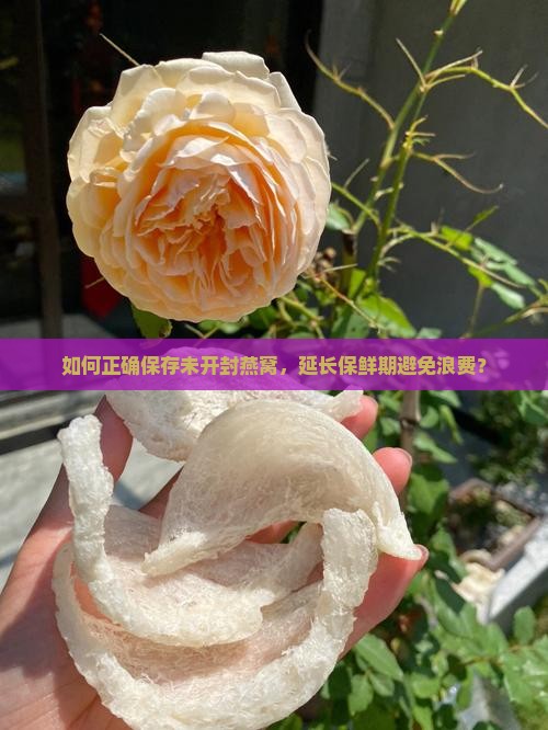 如何正确保存未开封燕窝，延长保鲜期避免浪费？