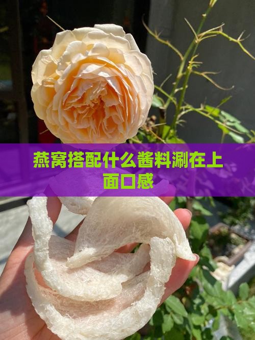 燕窝搭配什么酱料涮在上面口感