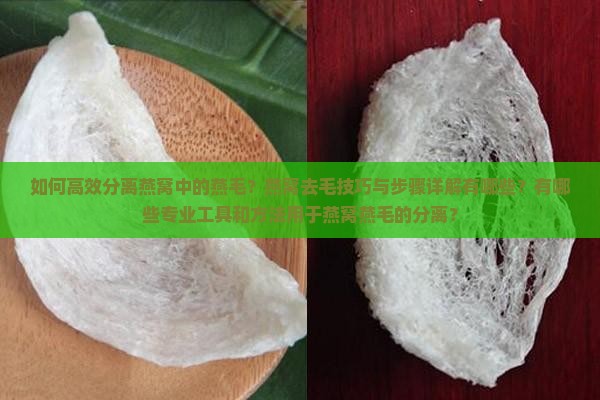 如何高效分离燕窝中的燕毛？燕窝去毛技巧与步骤详解有哪些？有哪些专业工具和方法用于燕窝燕毛的分离？